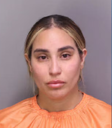 Carmen Denisse Garcia Roman mugshot