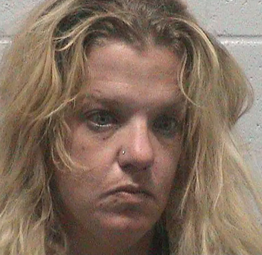 Candace Ashley Hughes mugshot (LCSO Facebook)